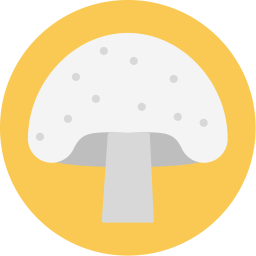 2003.10.00 - Cogumelos do gênero Agaricus